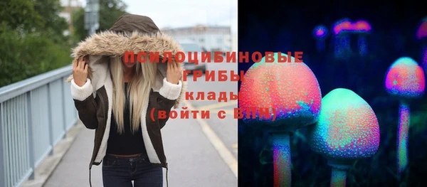 ECSTASY Абаза