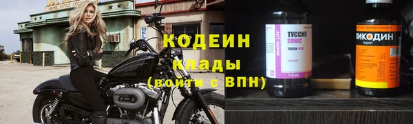 эйфоретик Бородино