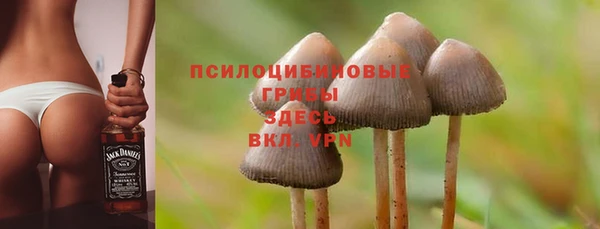амф Абинск