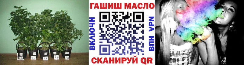 ссылка на мегу маркетплейс  Магнитогорск  Дистиллят ТГК гашишное масло 