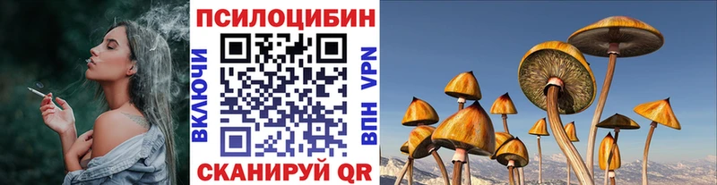 купить наркотики сайты  Магнитогорск  гидра рабочий сайт  Галлюциногенные грибы GOLDEN TEACHER 
